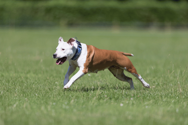 Cs3Q5621 20501960121 O