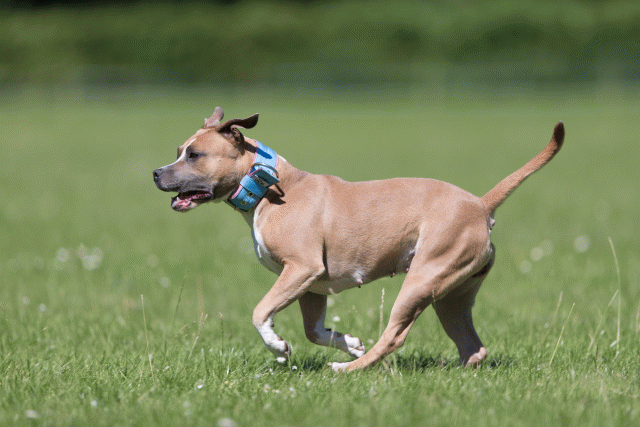 Cs3Q5613 20501968571 O