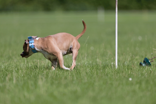 Cs3Q5595 20501983731 O