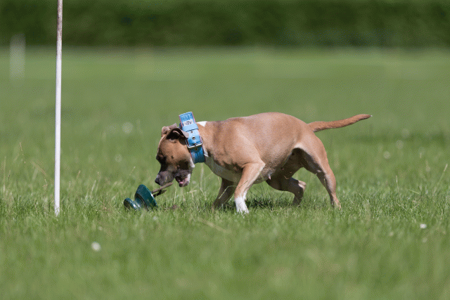 Cs3Q5591 20501988401 O