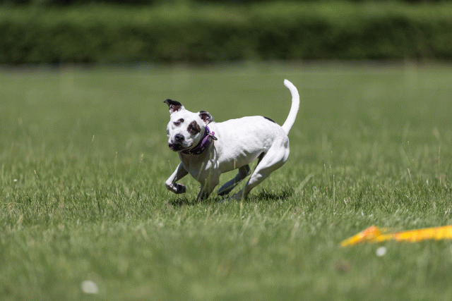 Cs3Q5558 20502022001 O