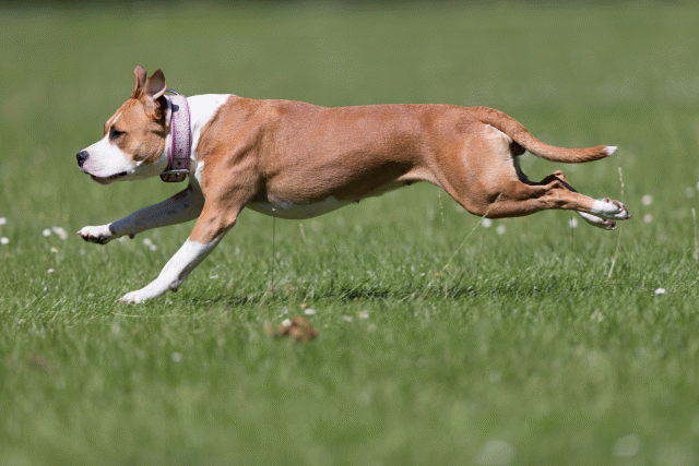 Cs3Q5556 20502025341 O