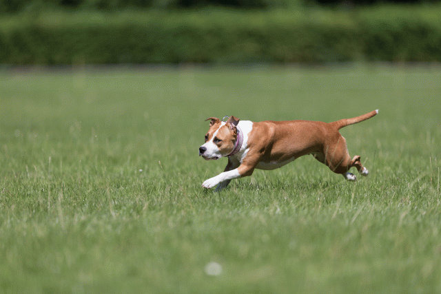 Cs3Q5547 20502035581 O