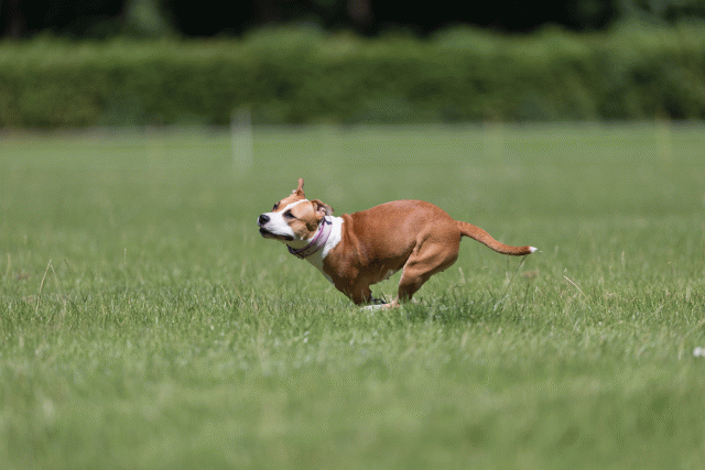 Cs3Q5542 20502042221 O