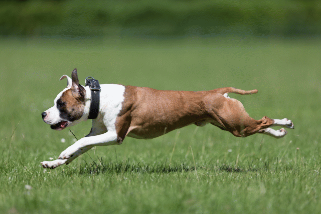 Cs3Q5537 20502045561 O