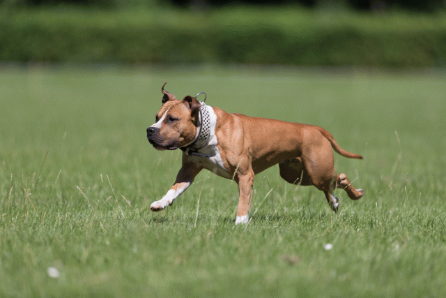 Cs3Q5511 20502069031 O