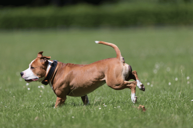 Cs3Q5472 20502102731 O