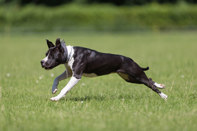 Cs3Q5433 20502135391 O