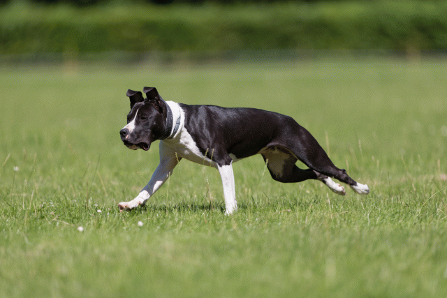 Cs3Q5430 20502140151 O