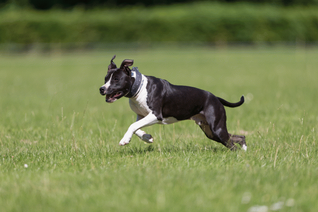 Cs3Q5429 20502141721 O