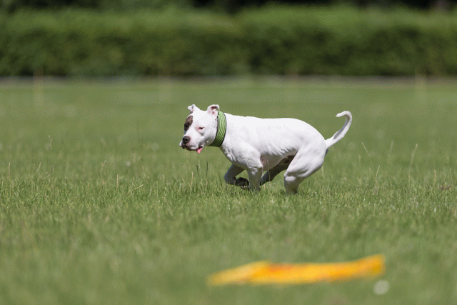 Cs3Q5388 20502182351 O