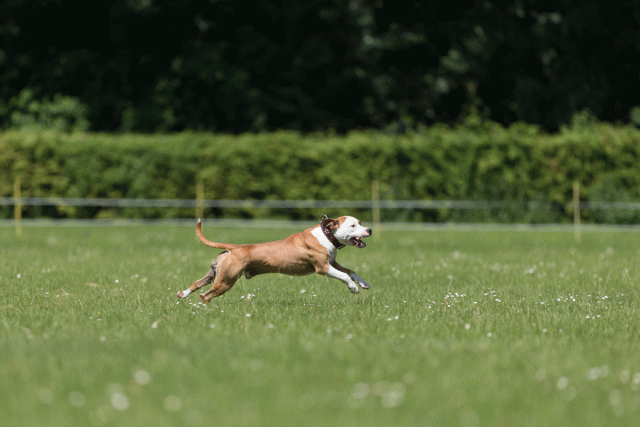 Cs3Q5352 20502210151 O