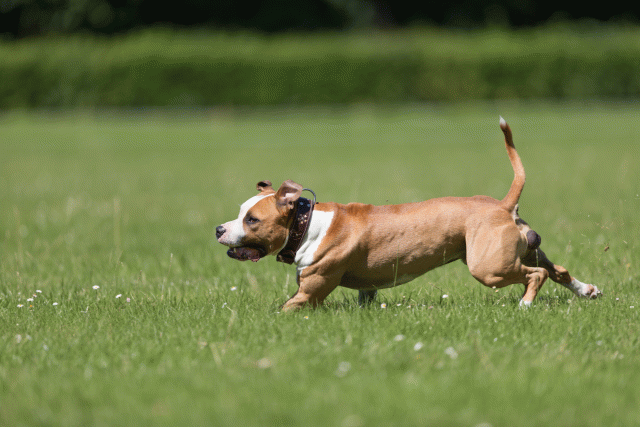 Cs3Q5347 20502213641 O