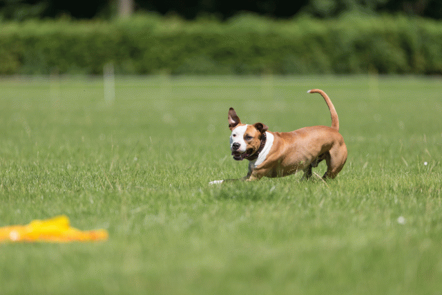 Cs3Q5330 20502237951 O