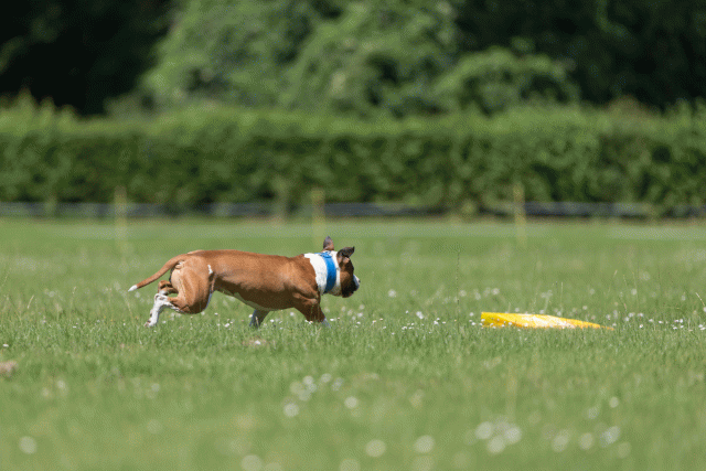 Cs3Q5316 20502240761 O