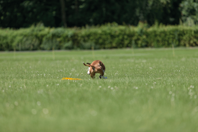 Cs3Q5307 20502248621 O