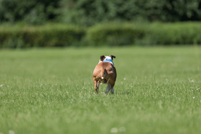 Cs3Q5305 20502252061 O