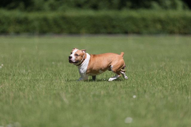 Cs3Q5226 19873349474 O