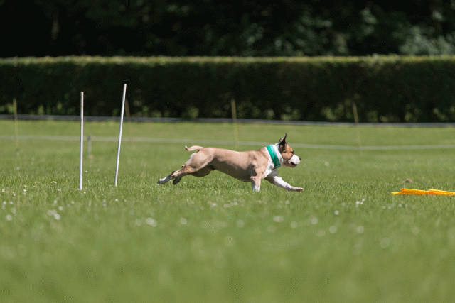 Cs3Q5224 19873351924 O