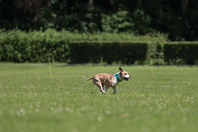 Cs3Q5220 19873356224 O