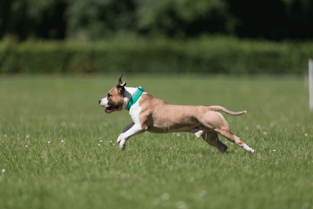 Cs3Q5208 19873364904 O