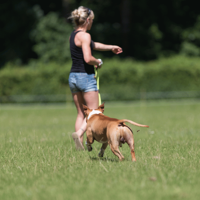 Cs3Q5189 19873380544 O