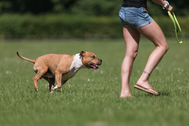 Cs3Q5182 19873389854 O