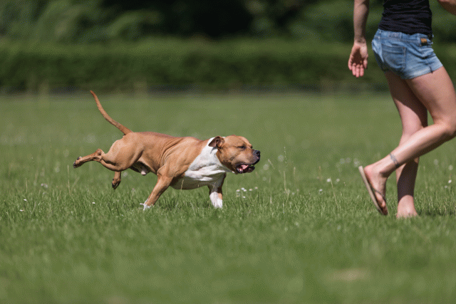 Cs3Q5181 19873391344 O