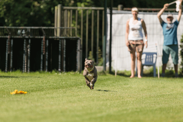 Cs3Q5128 19873420024 O