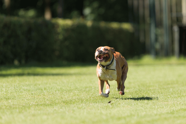 Cs3Q5104 19873435874 O