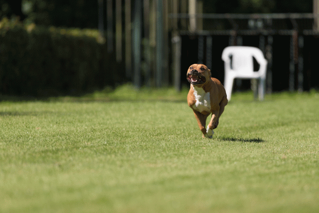 Cs3Q5092 19873445314 O