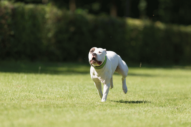 Cs3Q5078 19873455524 O