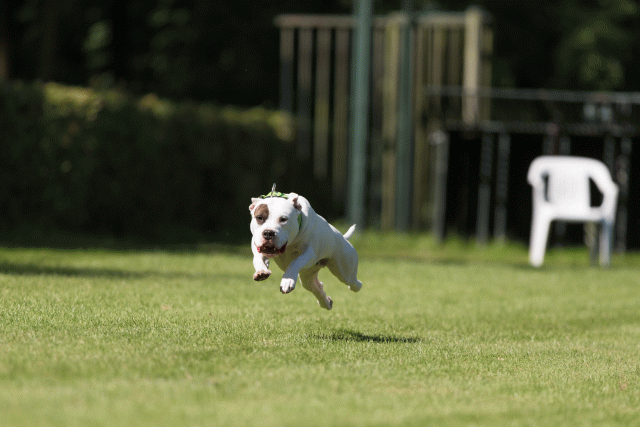 Cs3Q5073 19873459384 O