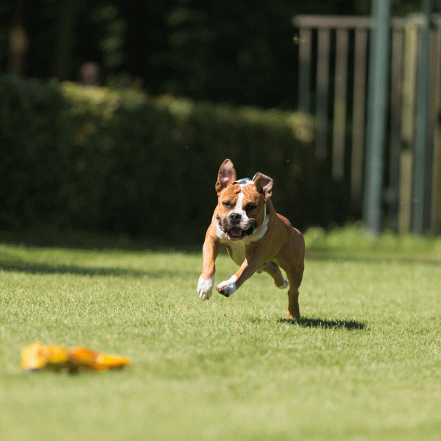 Cs3Q5064 19873464844 O