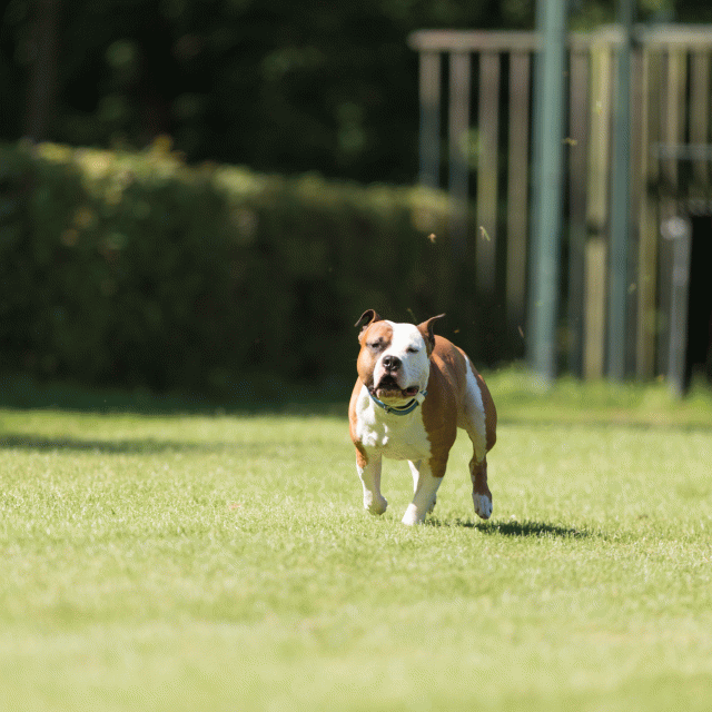 Cs3Q5047 19873473604 O