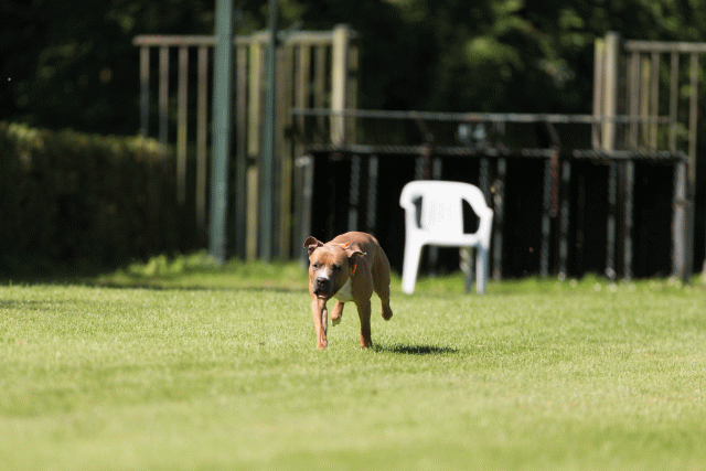 Cs3Q5033 19873484514 O