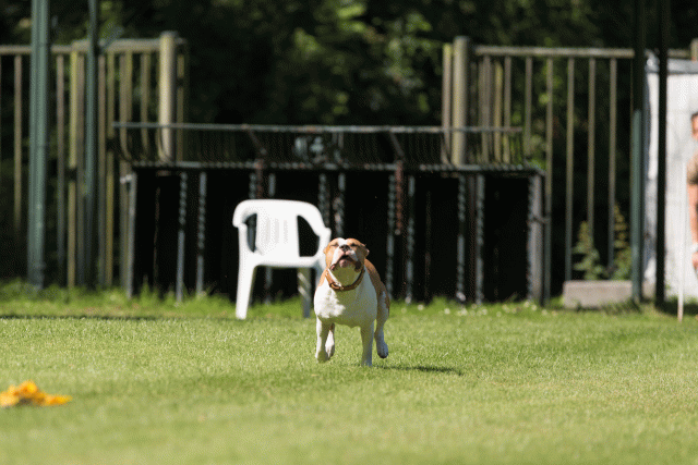 Cs3Q5009 19873505204 O