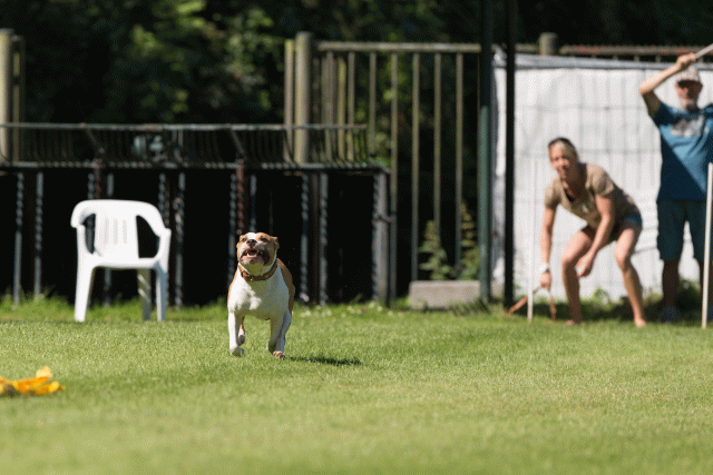 Cs3Q5006 19873508104 O