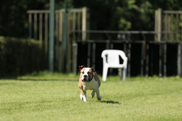 Cs3Q4998 19873513974 O