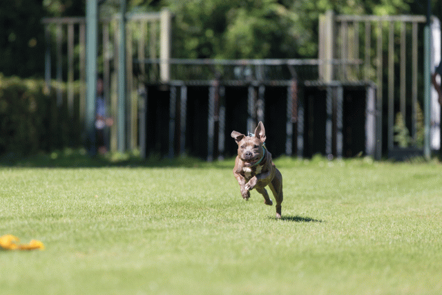 Cs3Q4917 19873529474 O