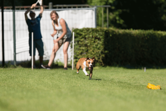 Cs3Q4877 19873557024 O