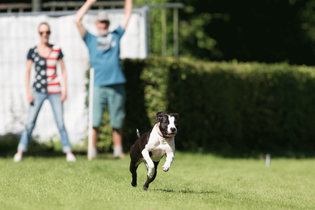 Cs3Q4857 19873571274 O