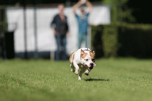 Cs3Q4813 19873587614 O