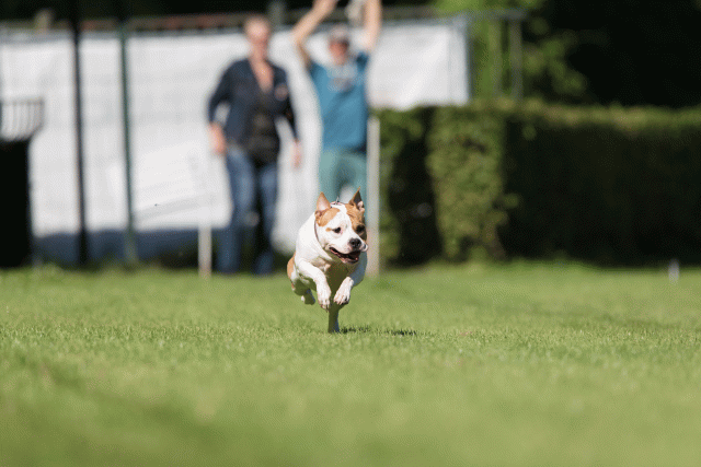 Cs3Q4807 19873592554 O