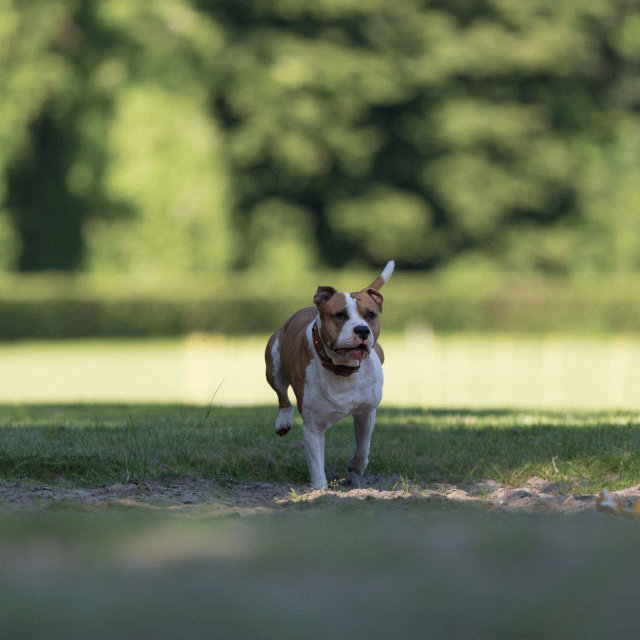 Cs3Q4511 19873673324 O