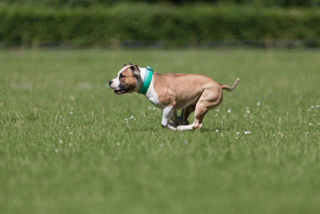 Cs3Q5206 19875113823 O