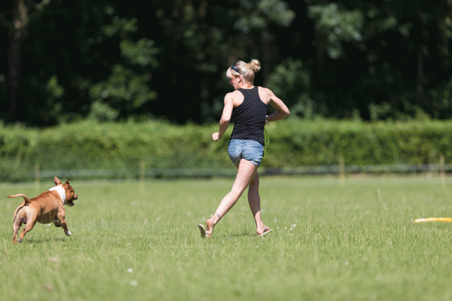 Cs3Q5192 19875123823 O