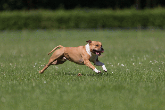 Cs3Q5177 19875143643 O