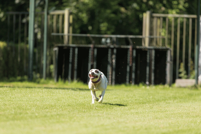 Cs3Q5122 19875172133 O