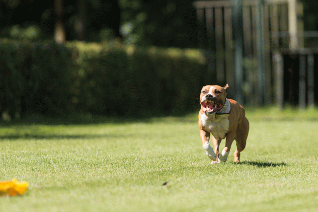 Cs3Q5101 19875187863 O